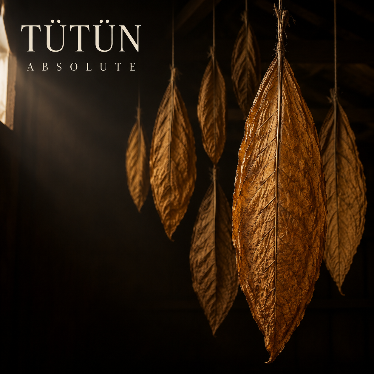Tütün Absolute
