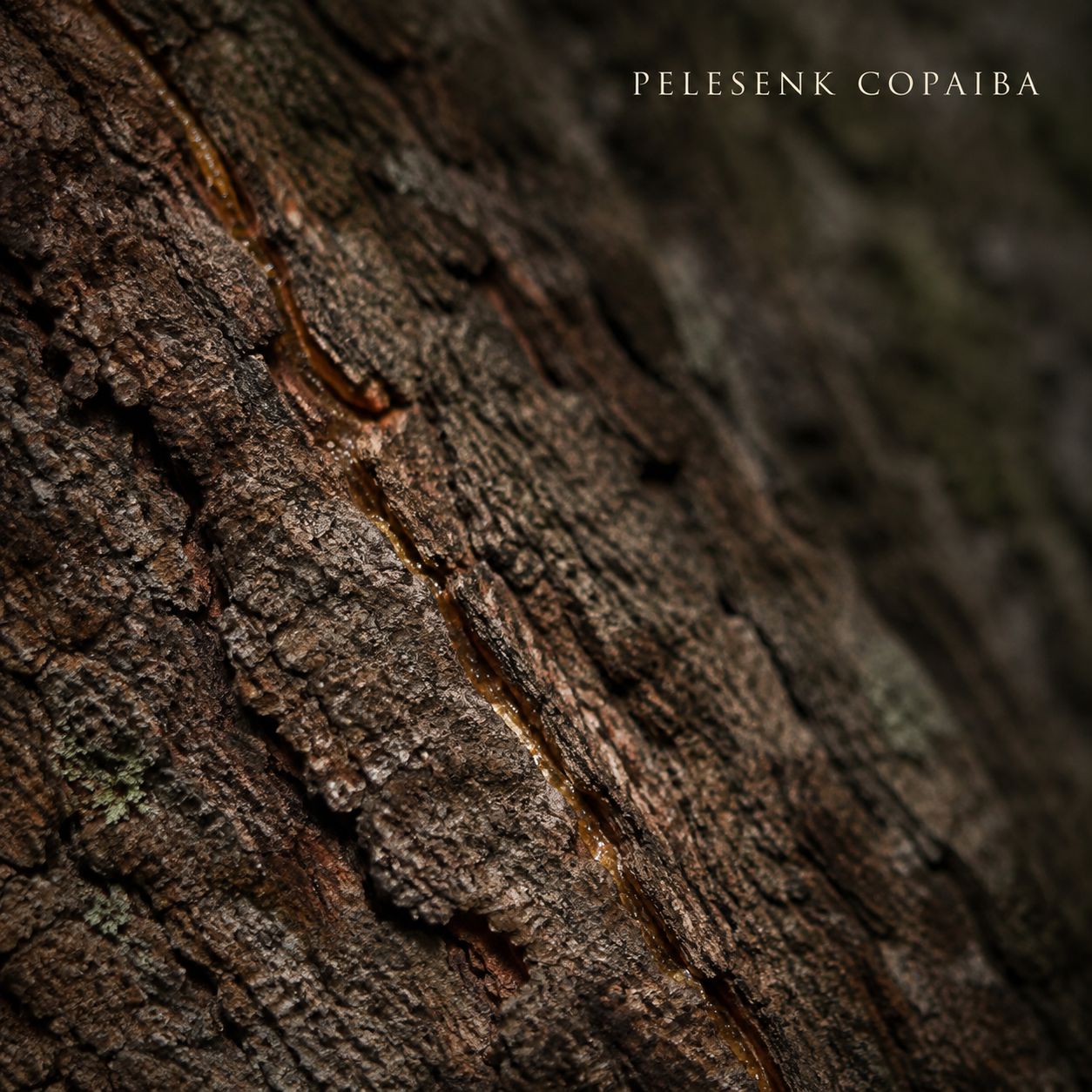 Pelesenk / Copaiba